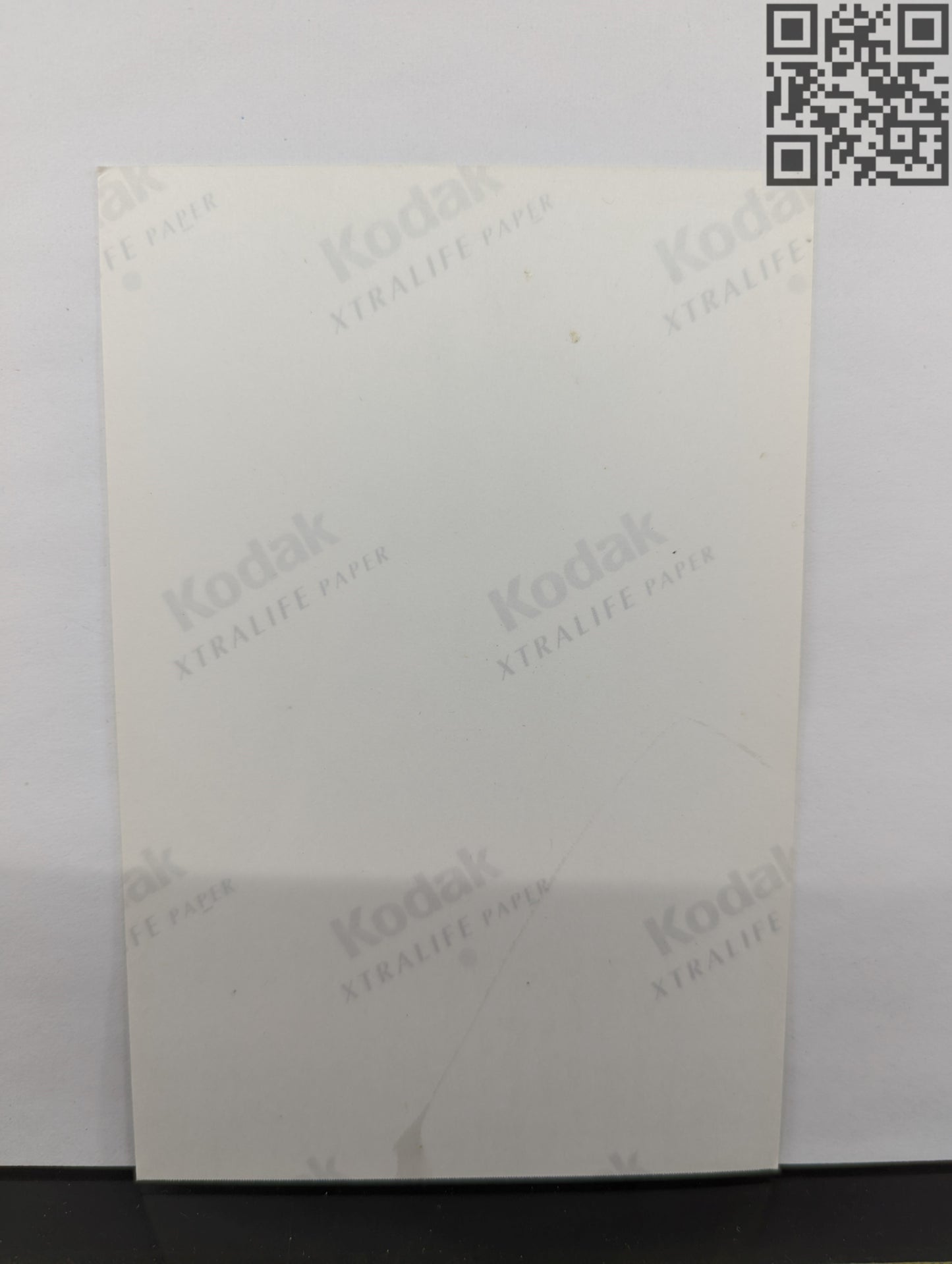 2000's Tiger Woods Signed Buick Golf Back Photograph