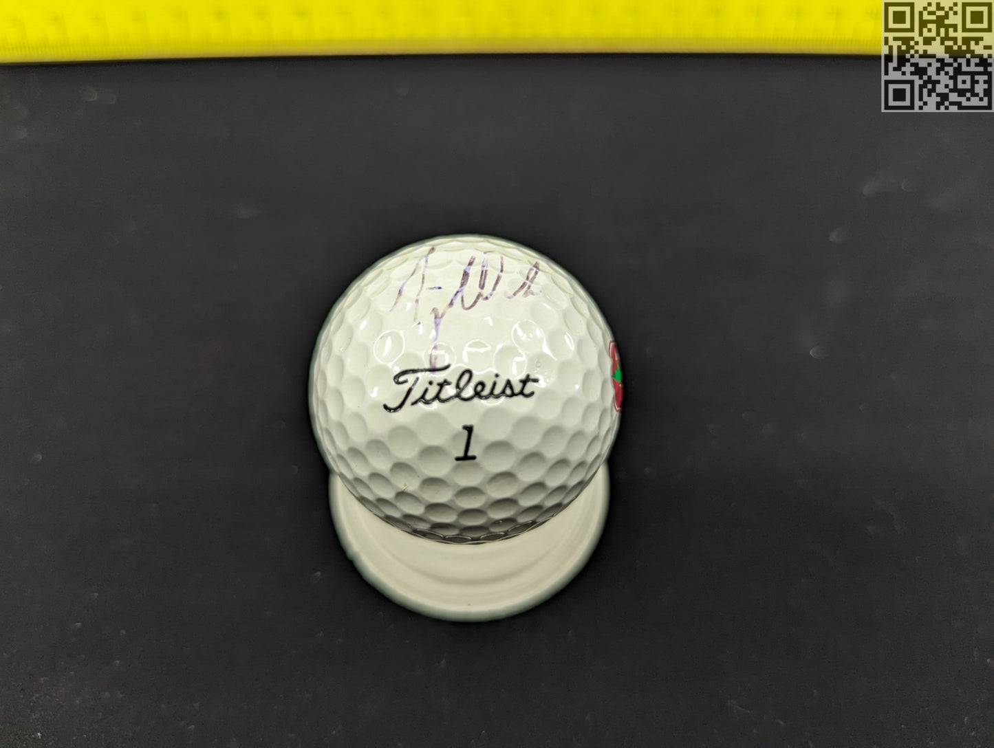 1995 Tiger Woods and Team Signed Titleist Golf Ball